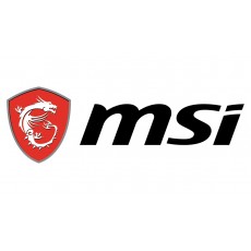 Mostrando Imagen de MSI Imagen MSI